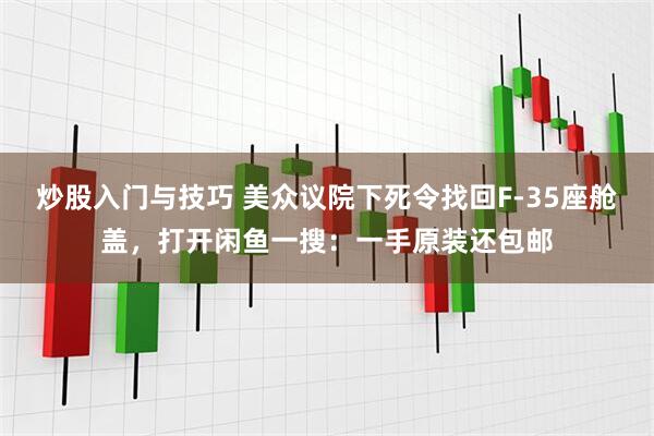 炒股入门与技巧 美众议院下死令找回F-35座舱盖，打开闲鱼一搜：一手原装还包邮